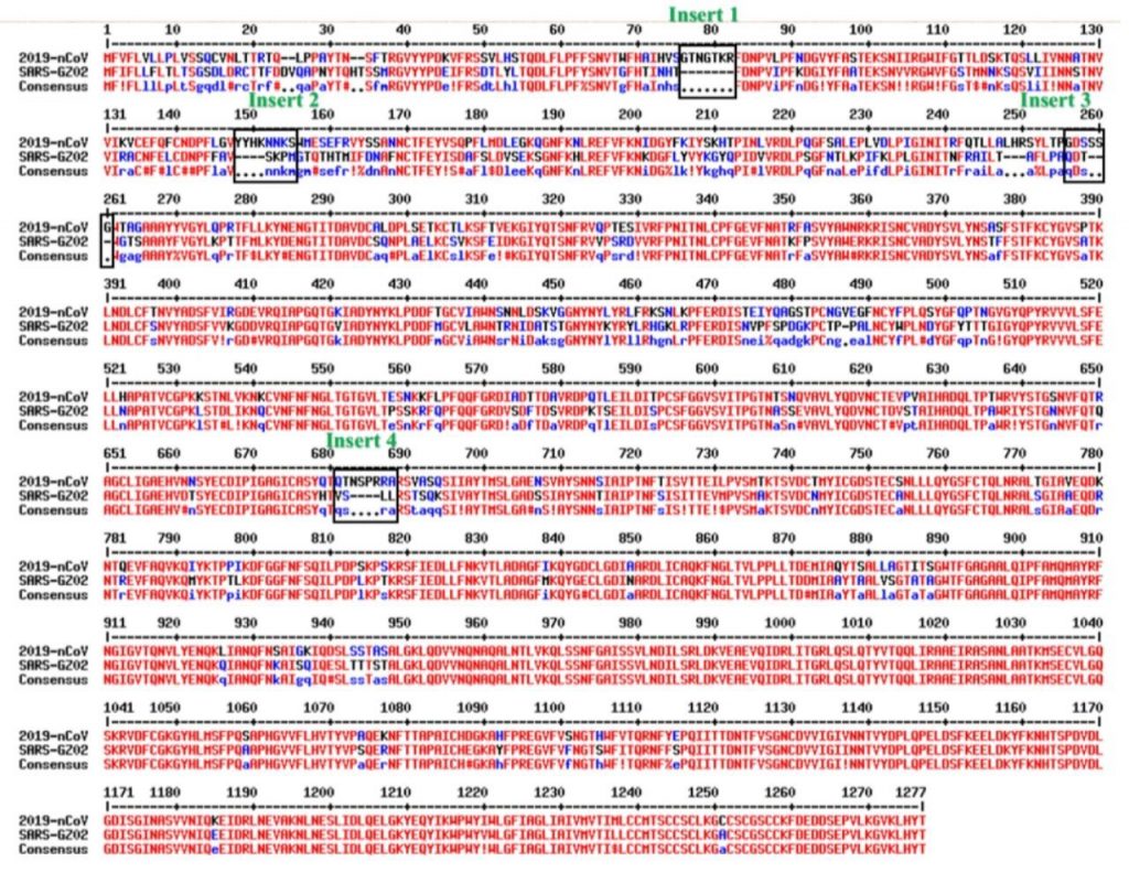 Multiple sequence alignment between spike proteins of 2019-nCoV and SARS