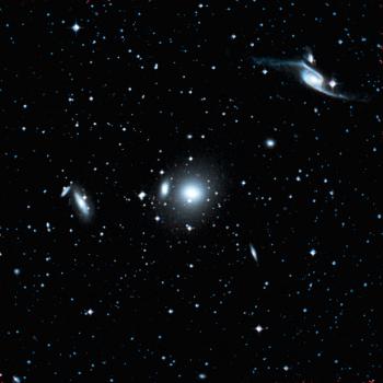 The Pavo cluster