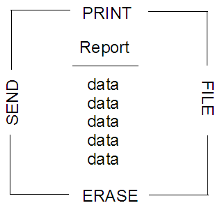 Modular Data—a Report Object